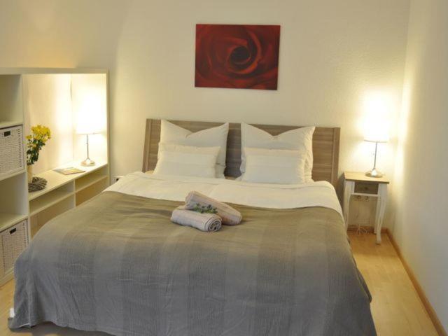 Apartment Mida Freiburg im Breisgau Cameră foto