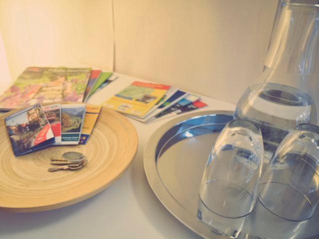 Apartment Mida Freiburg im Breisgau Cameră foto